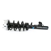 Arnott SK-3605 Stoßdämpfer