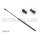 STABILUS 024339 Gasfeder, Motorhaube