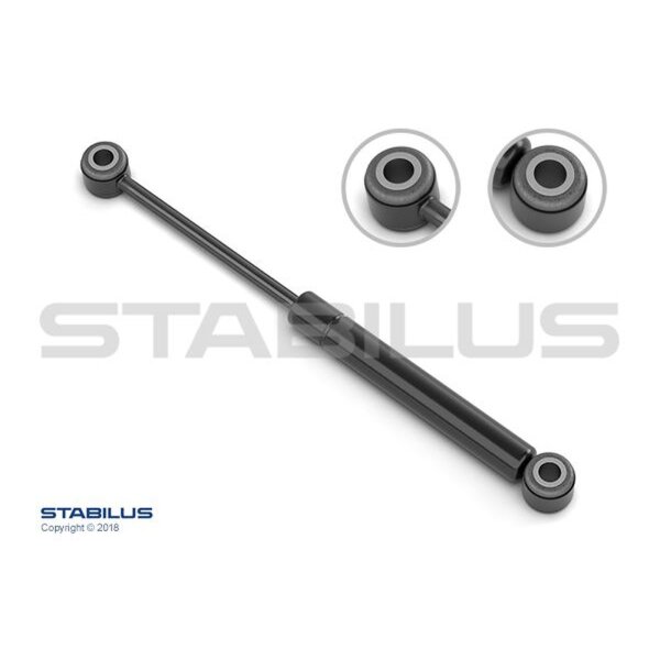 STABILUS 5754PR Schwingungsdämpfer, Keilrippenriemen