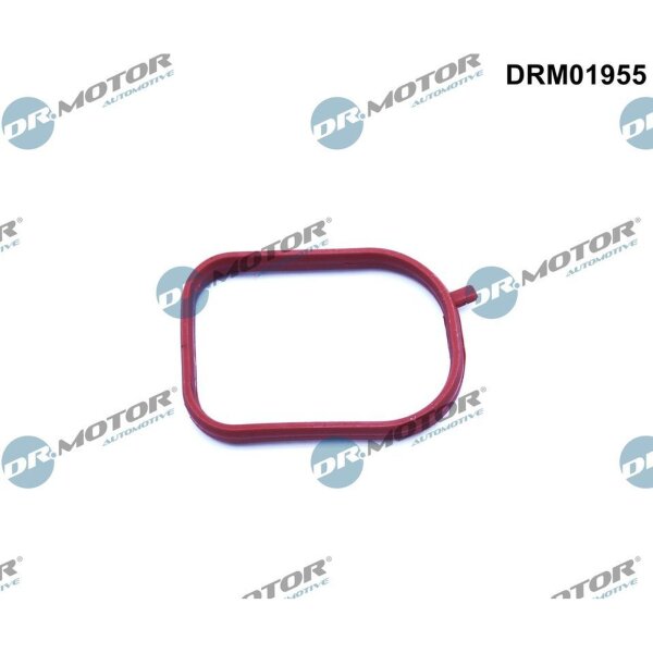 Dr.Motor Automotive DRM01955 Dichtung, Thermostatgehäuse