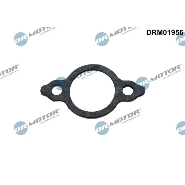 Dr.Motor Automotive DRM01956 Dichtung, Leitung AGR-Ventil