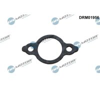 Dr.Motor Automotive DRM01956 Dichtung, Leitung AGR-Ventil