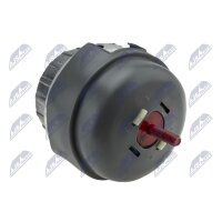 NTY ZPS-AU-049 Lagerung, Motor