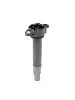 BorgWarner (BERU) ZS599 Zündspule