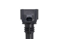 BorgWarner (BERU) ZS604 Zündspule