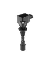 BorgWarner (BERU) ZSE244 Zündspule