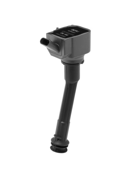 BorgWarner (BERU) ZSE260 Zündspule