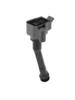 BorgWarner (BERU) ZSE260 Zündspule