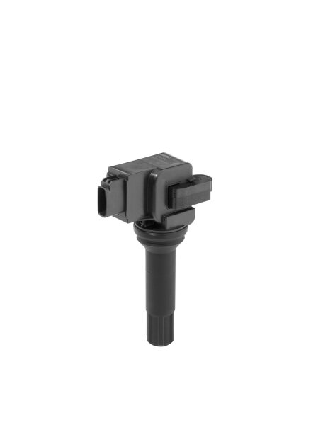 BorgWarner (BERU) ZSE290 Zündspule