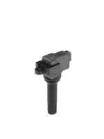 BorgWarner (BERU) ZSE290 Zündspule