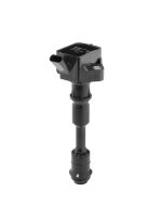 BorgWarner (BERU) ZSE294 Zündspule