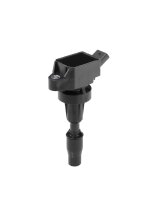BorgWarner (BERU) ZSE301 Zündspule