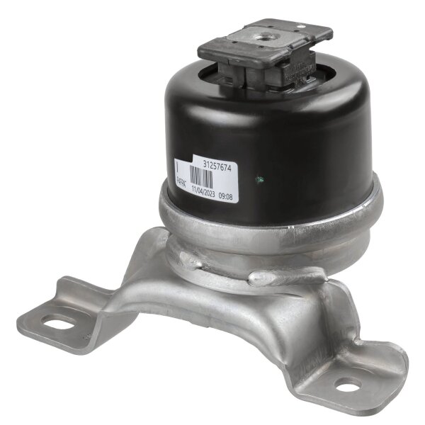 LEMFÖRDER 43612 01 Lagerung, Motor