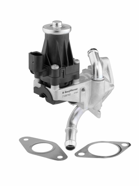 BorgWarner 710979D AGR-Ventil