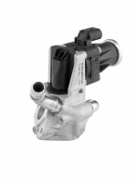 BorgWarner 710979D AGR-Ventil