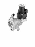 BorgWarner 710979D AGR-Ventil
