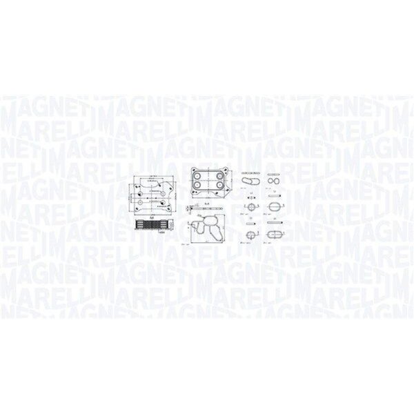 MAGNETI MARELLI 350300001300 Ölkühler, Motoröl