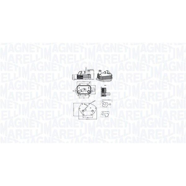 MAGNETI MARELLI 350300002600 Ölkühler, Motoröl