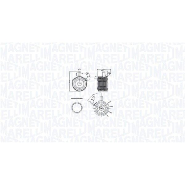 MAGNETI MARELLI 350300002900 Ölkühler, Motoröl