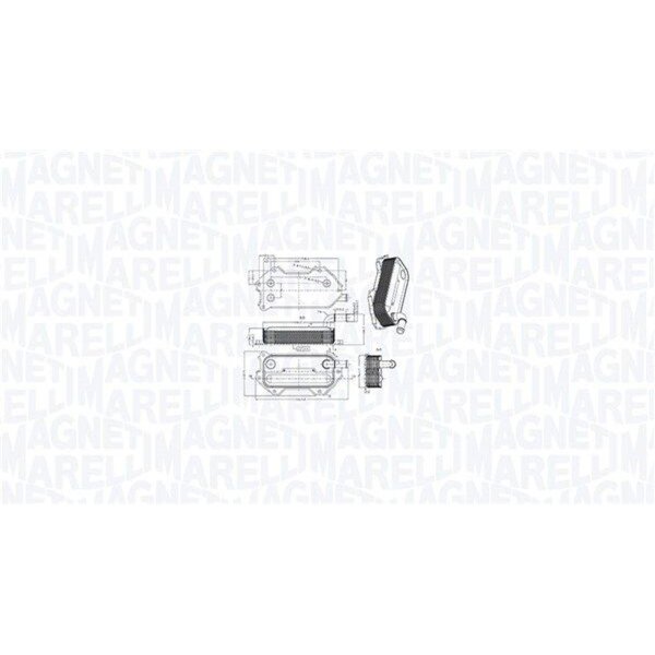 MAGNETI MARELLI 350300003000 Ölkühler, Motoröl