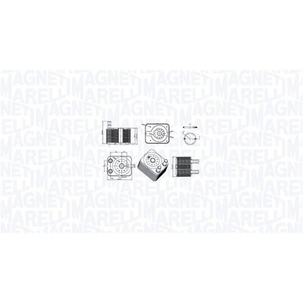 MAGNETI MARELLI 350300003100 Ölkühler, Motoröl