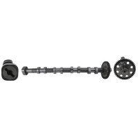 AE CAM1040 Nockenwelle