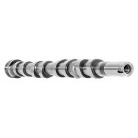 AE CAM1046 Nockenwelle
