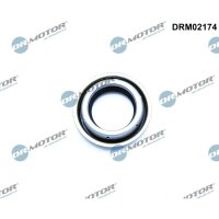 Dr.Motor Automotive DRM02174 Wellendichtring, Differential