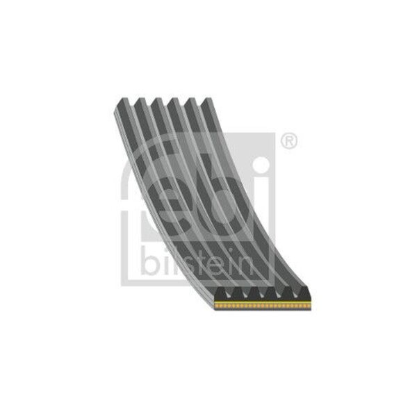 FEBI BILSTEIN 184925 Keilrippenriemen