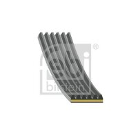 FEBI BILSTEIN 184925 Keilrippenriemen