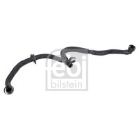 FEBI BILSTEIN 185676 Schlauch,...