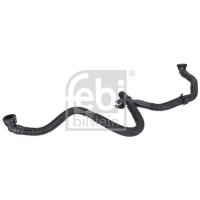 FEBI BILSTEIN 185676 Schlauch,...