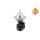 NRF 48687 AGR-Ventil