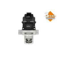 NRF 48703 AGR-Ventil