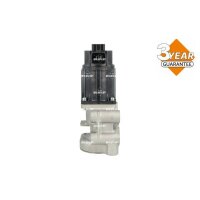 NRF 48713 AGR-Ventil