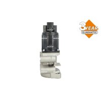 NRF 48713 AGR-Ventil