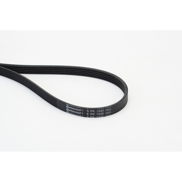 CONTINENTAL CTAM 5PK1245 Keilrippenriemen