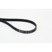 CONTINENTAL CTAM 5PK1245 Keilrippenriemen