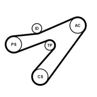 CONTINENTAL CTAM 4PK1538K1 Keilrippenriemensatz