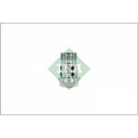 Schaeffler INA 427 0083 10 Zentralventil,...