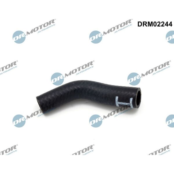 Dr.Motor Automotive DRM02244 Ölleitung, Lader