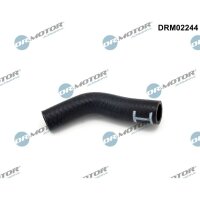 Dr.Motor Automotive DRM02244 Ölleitung, Lader