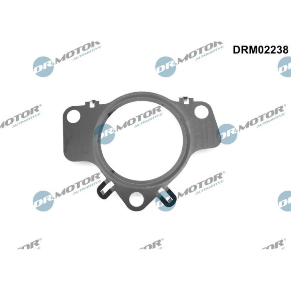 Dr.Motor Automotive DRM02238 Dichtung, Lader