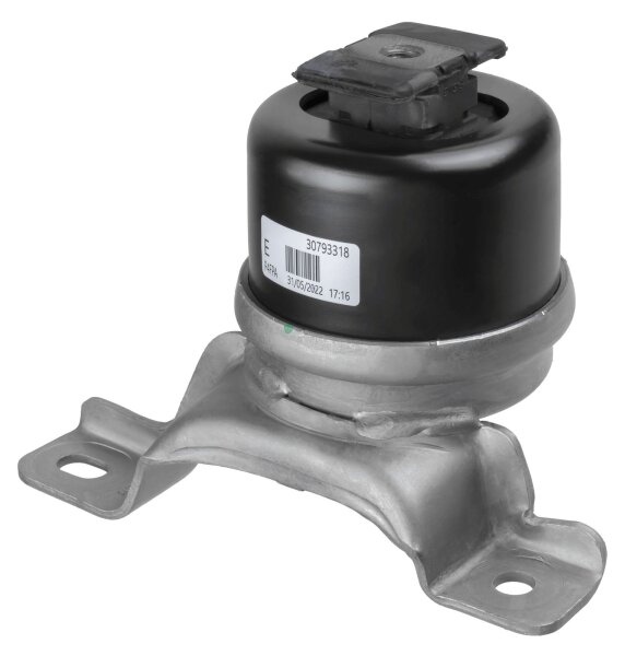 LEMFÖRDER 44741 01 Lagerung, Motor