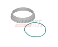 FAST FT94642 Dichtung, Tankgeber