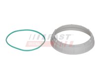 FAST FT94642 Dichtung, Tankgeber