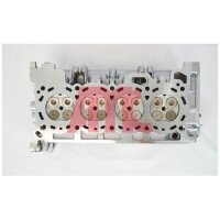 AMC 910138 Zylinderkopf