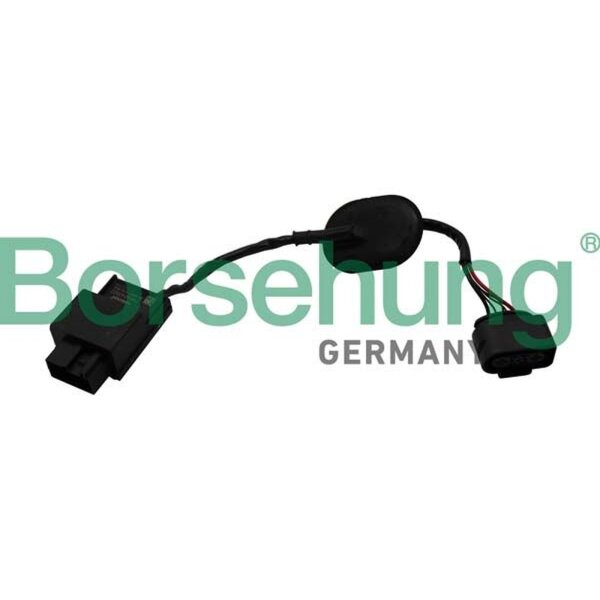 Borsehung B19230 Steuergerät, Kraftstoffpumpe
