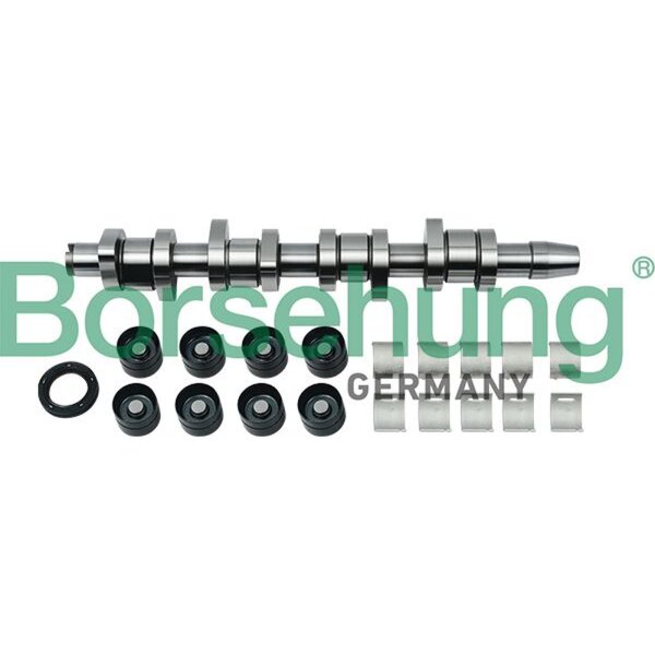 Borsehung B18664 Nockenwellensatz
