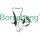 Borsehung B18468 Steuerkettensatz